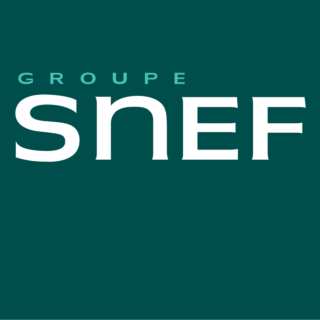 Logo Groupe Snef